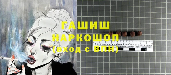 молекула духа Горнозаводск