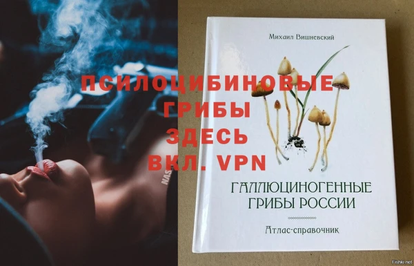 молекула духа Горнозаводск